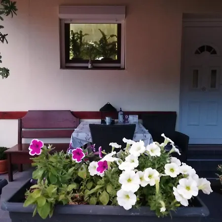 Rosa Apartament *