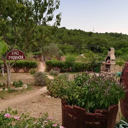 Rosa Apartament